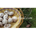 Dried Vegetable Without Stem (white flower mushroom)